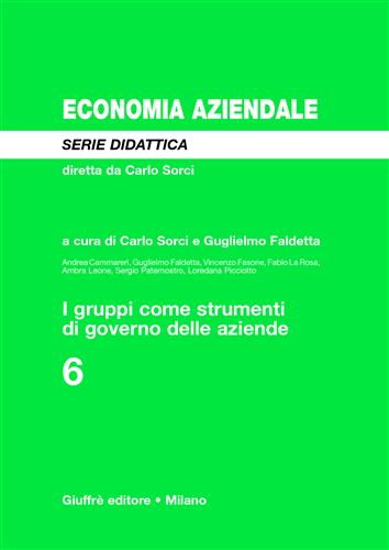 I GRUPPI COME STRUMENTI DI GOVERNO DELLE AZIENDE